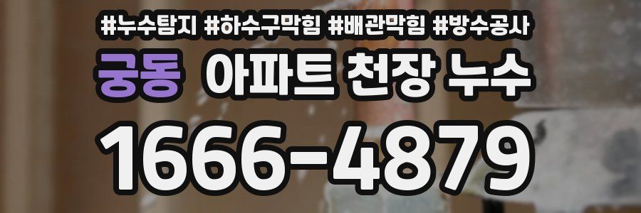 궁동 아파트 천장 누수