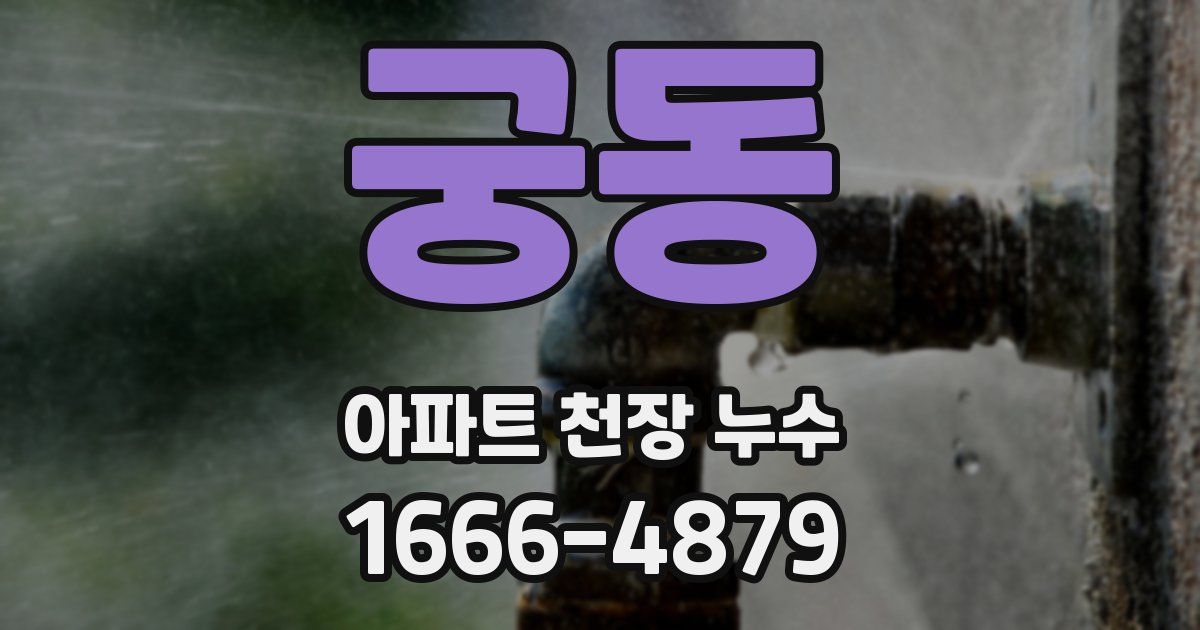 궁동 아파트 천장 누수