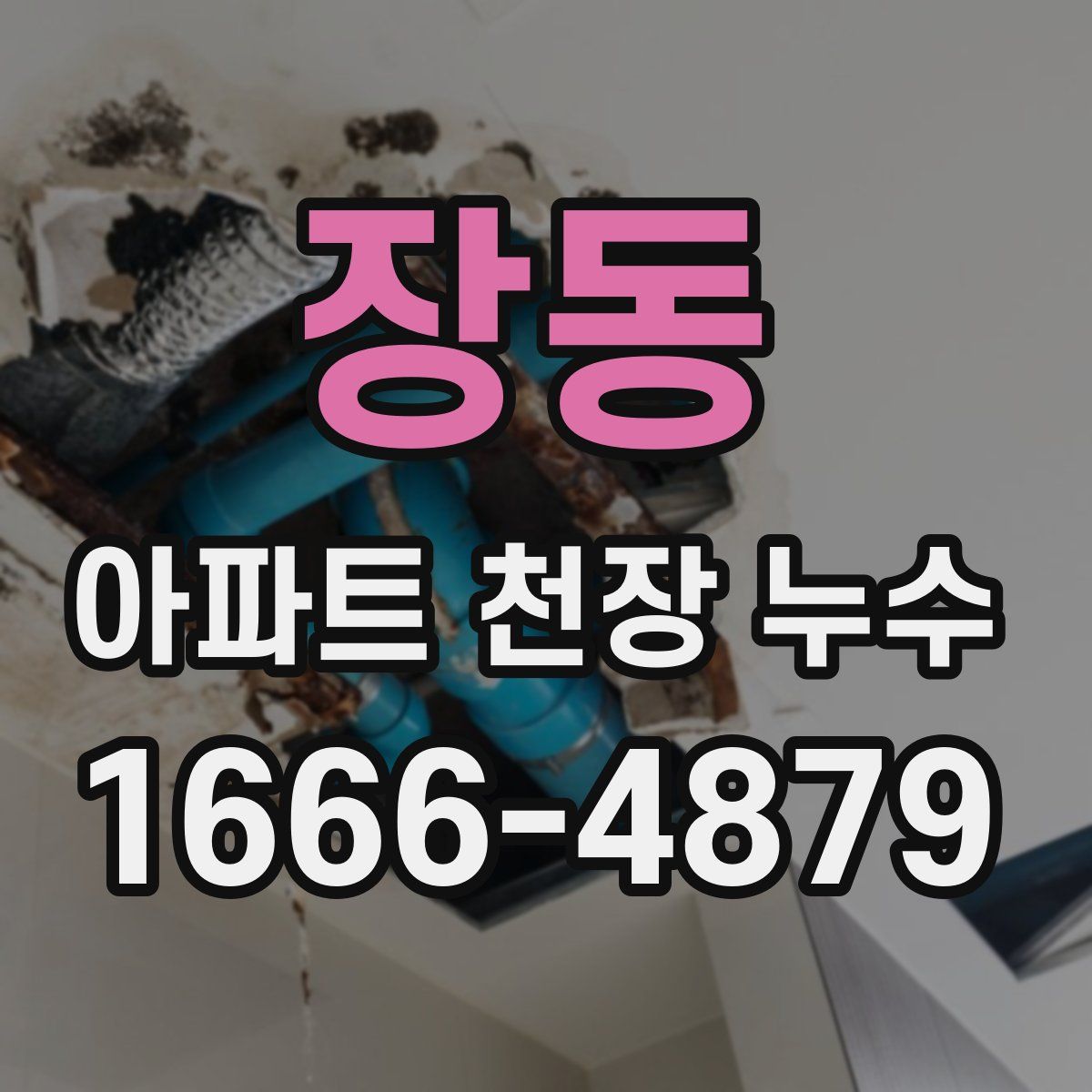 장동 아파트 천장 누수