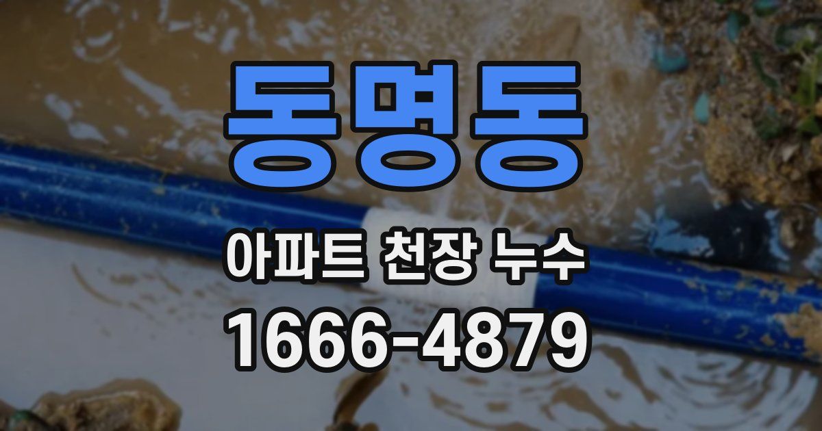 동명동 아파트 천장 누수