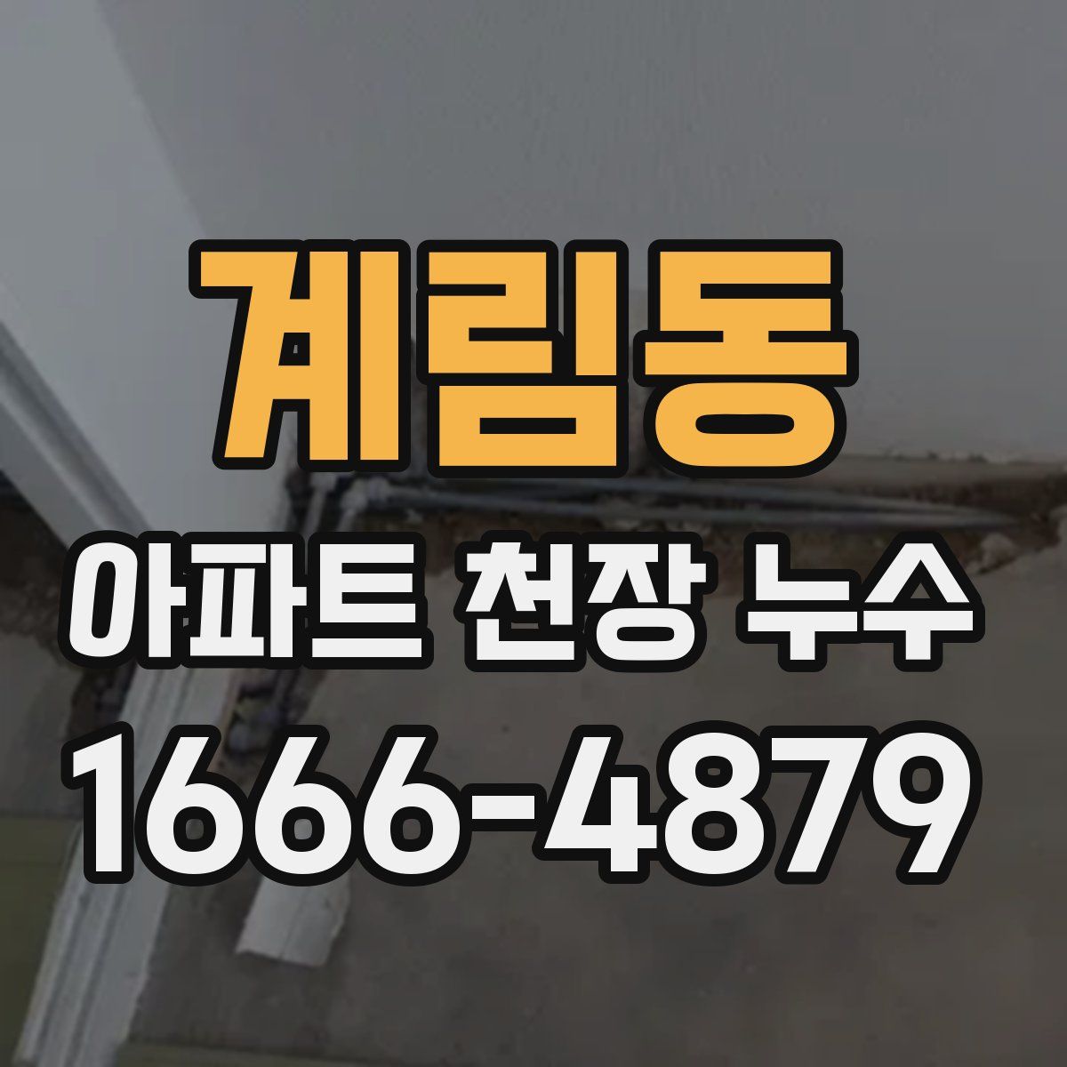 계림동 아파트 천장 누수