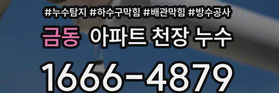 금동 아파트 천장 누수