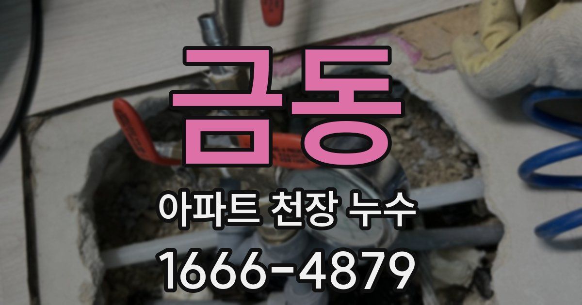 금동 아파트 천장 누수