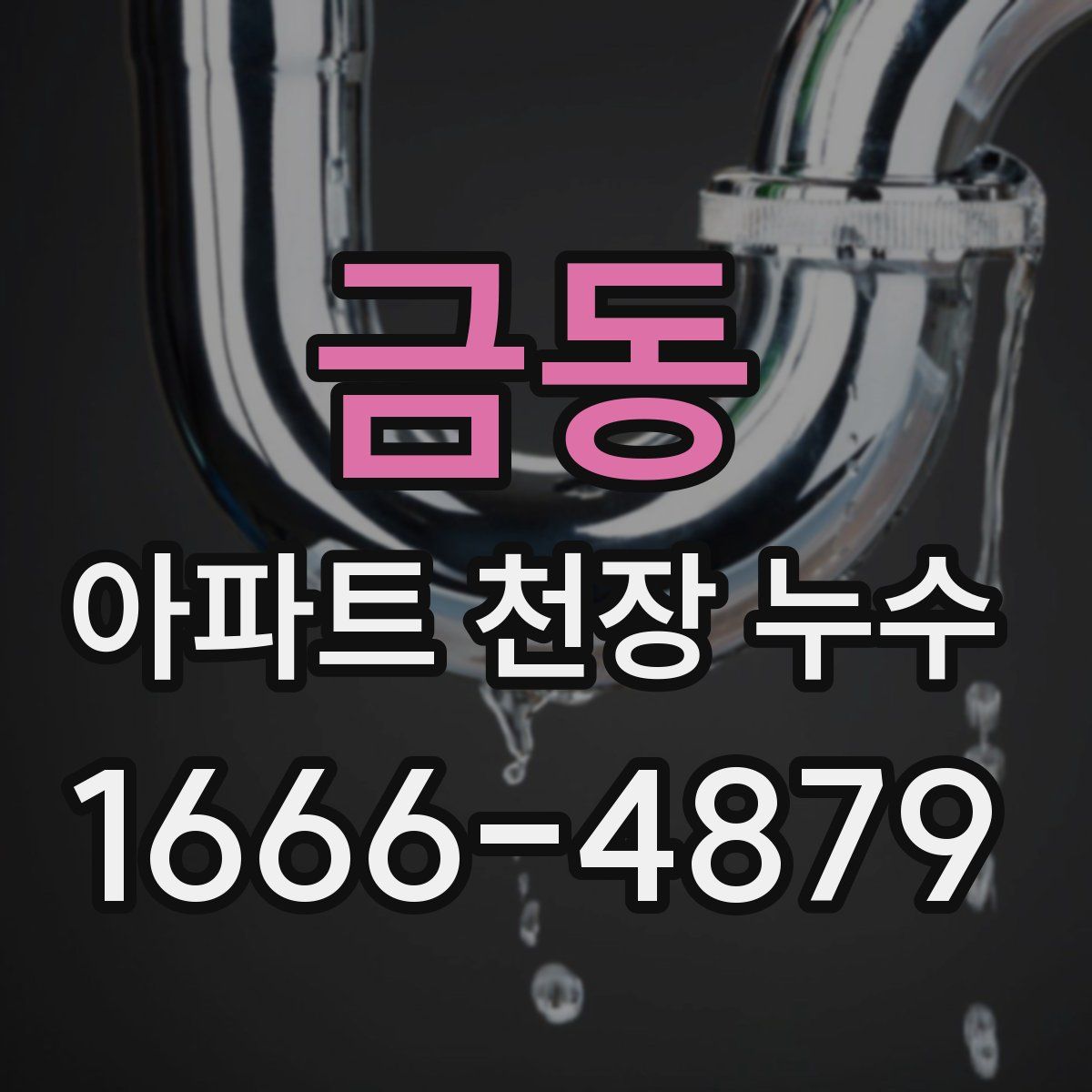 금동 아파트 천장 누수