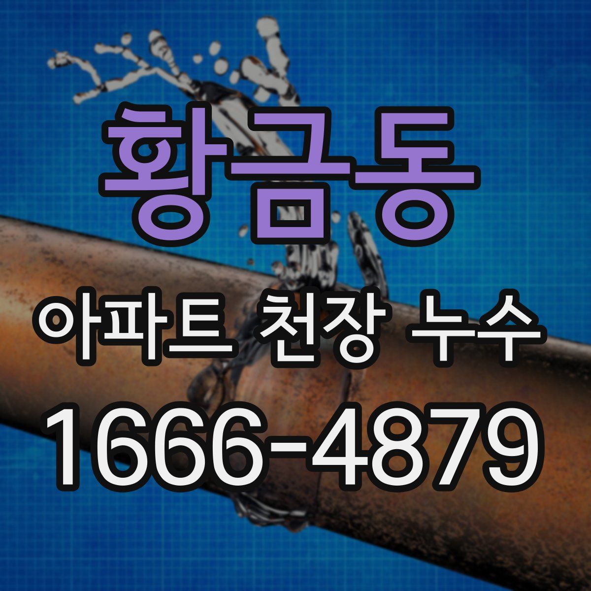 황금동 아파트 천장 누수