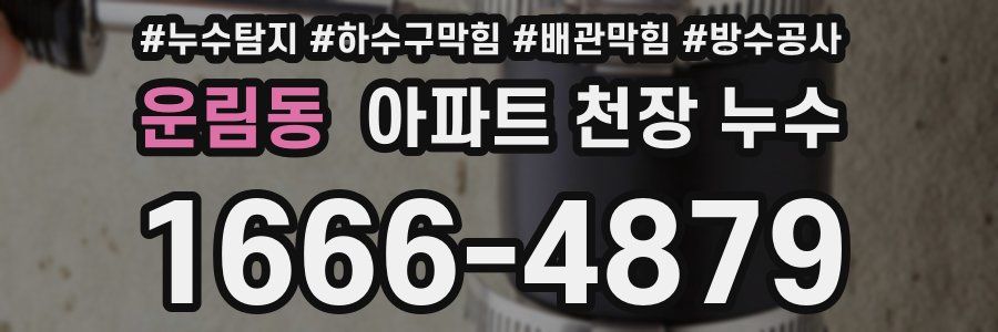 운림동 아파트 천장 누수