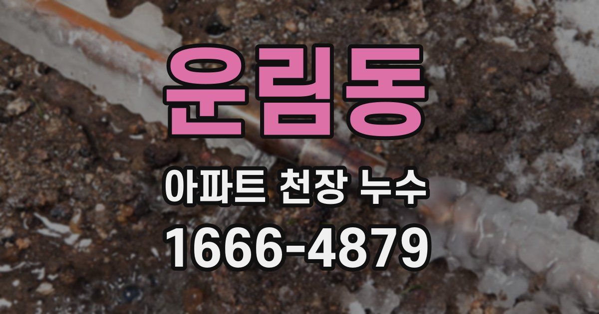 운림동 아파트 천장 누수