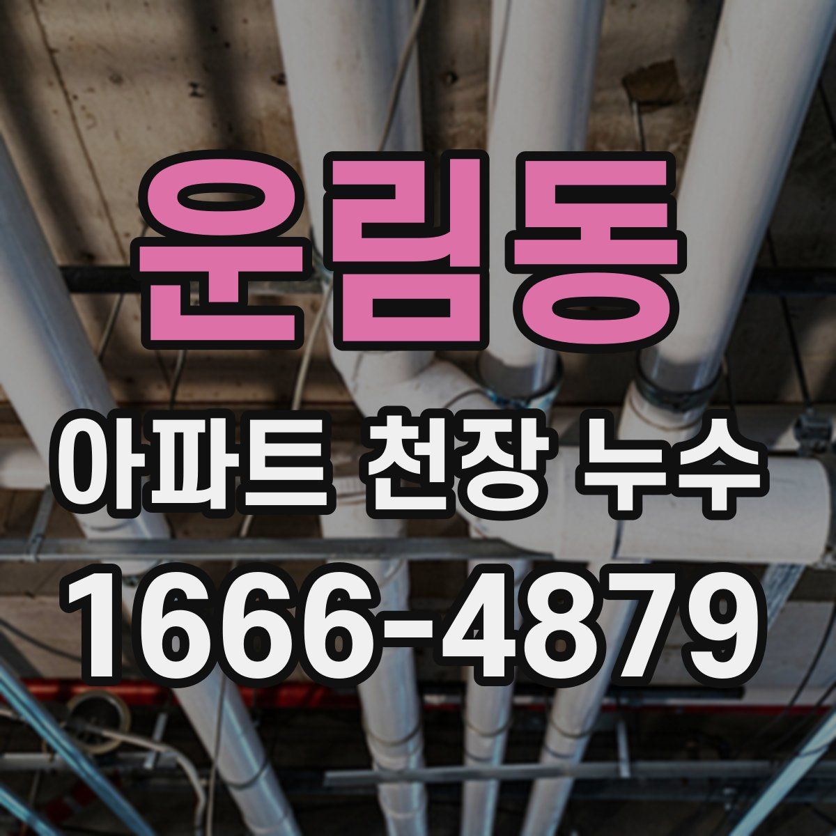 운림동 아파트 천장 누수