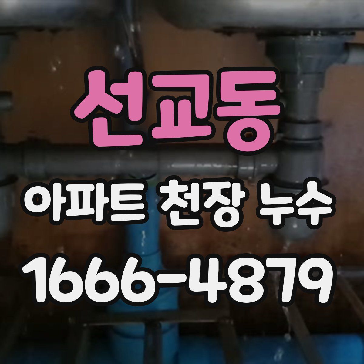 선교동 아파트 천장 누수