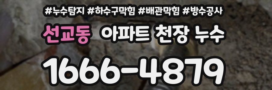 선교동 아파트 천장 누수
