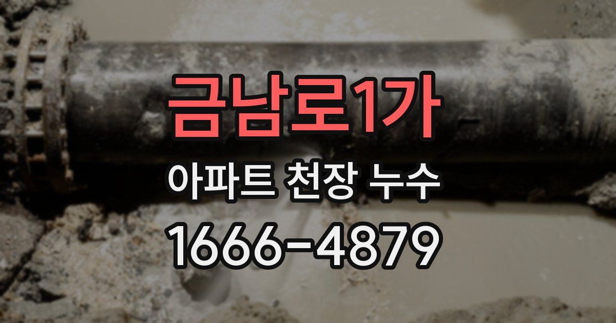 금남로1가 아파트 천장 누수