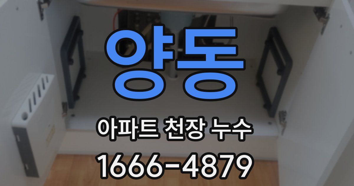 양동 아파트 천장 누수