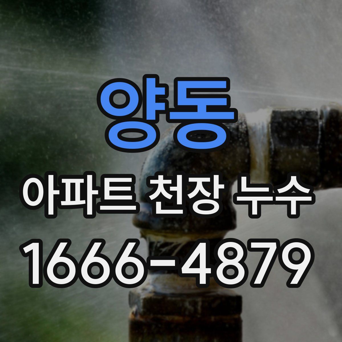 양동 아파트 천장 누수