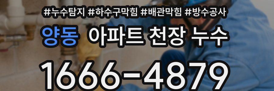 양동 아파트 천장 누수