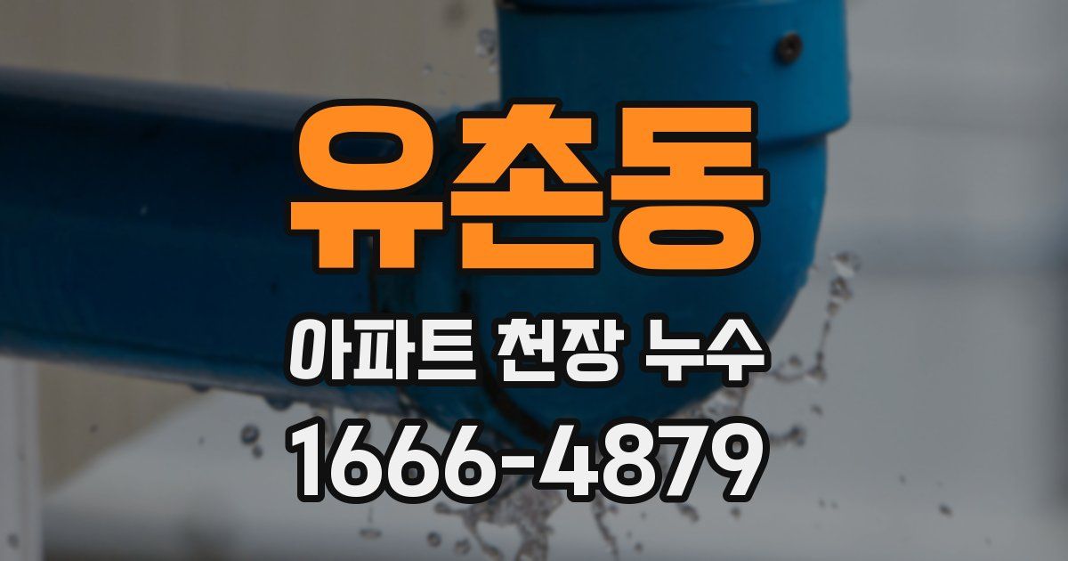 유촌동 아파트 천장 누수