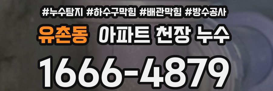유촌동 아파트 천장 누수