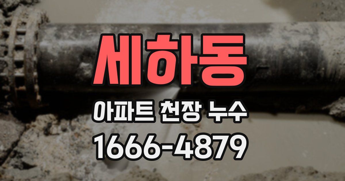 세하동 아파트 천장 누수