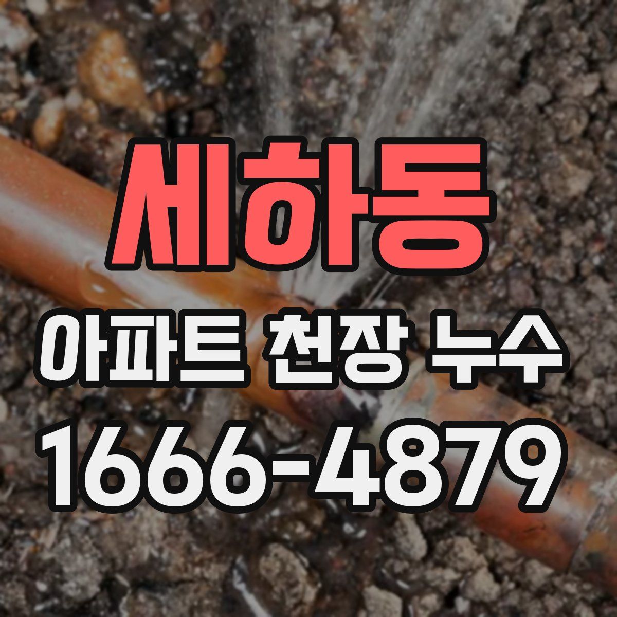 세하동 아파트 천장 누수