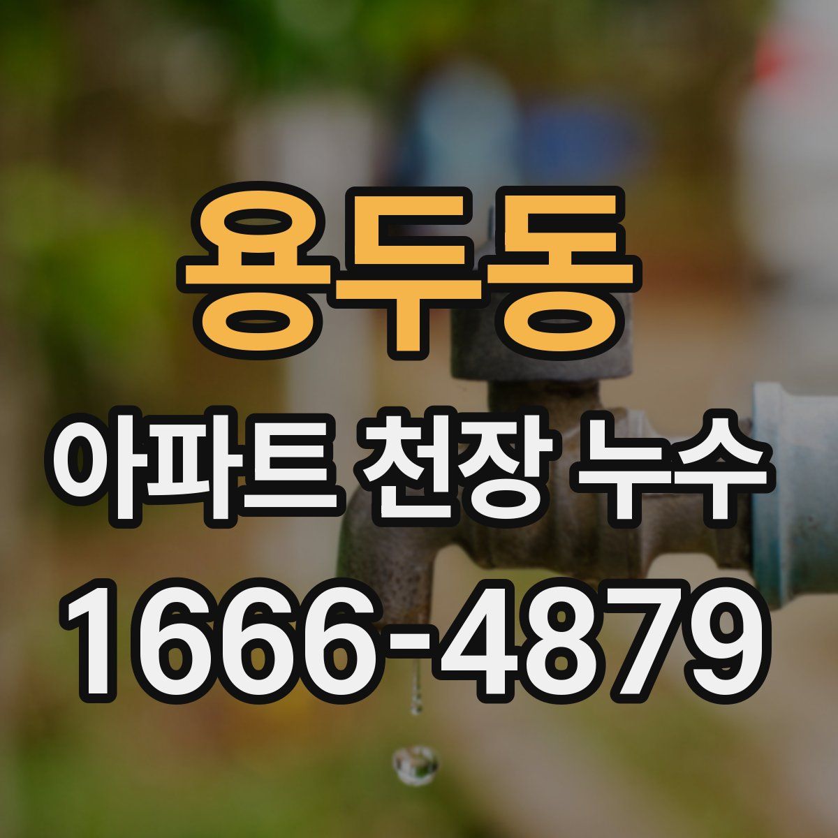 용두동 아파트 천장 누수