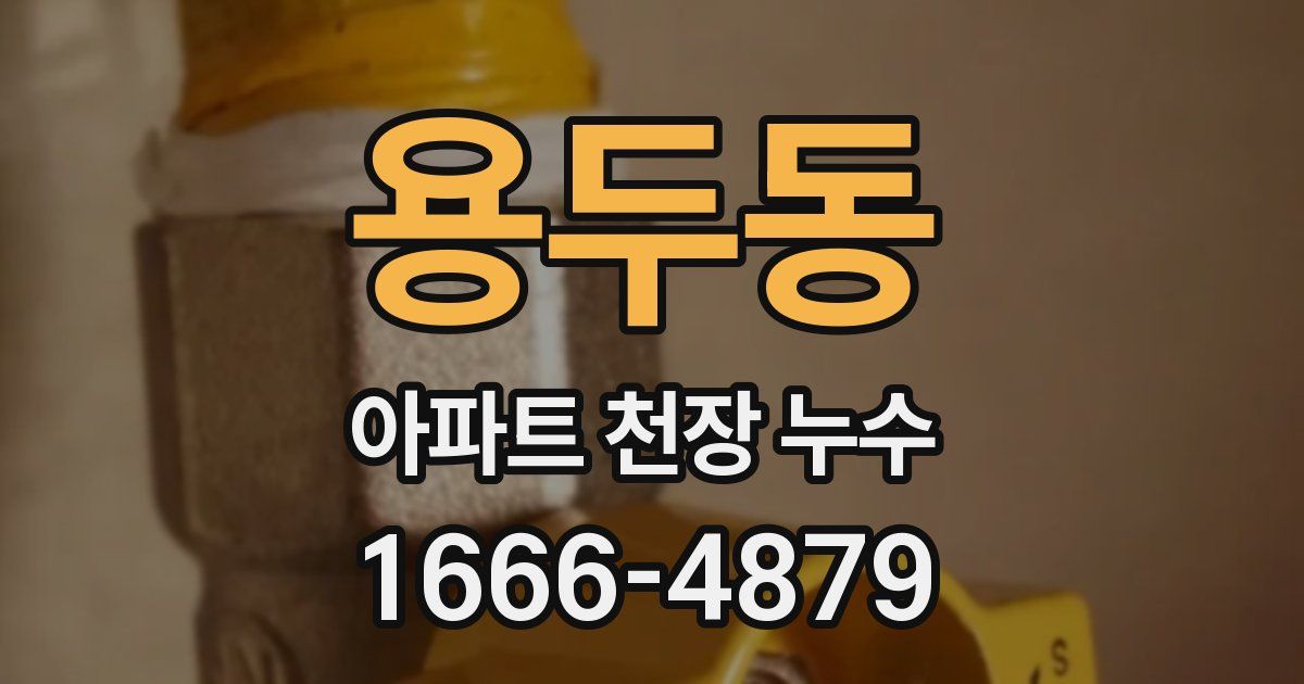 용두동 아파트 천장 누수