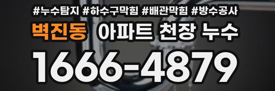 벽진동 아파트 천장 누수