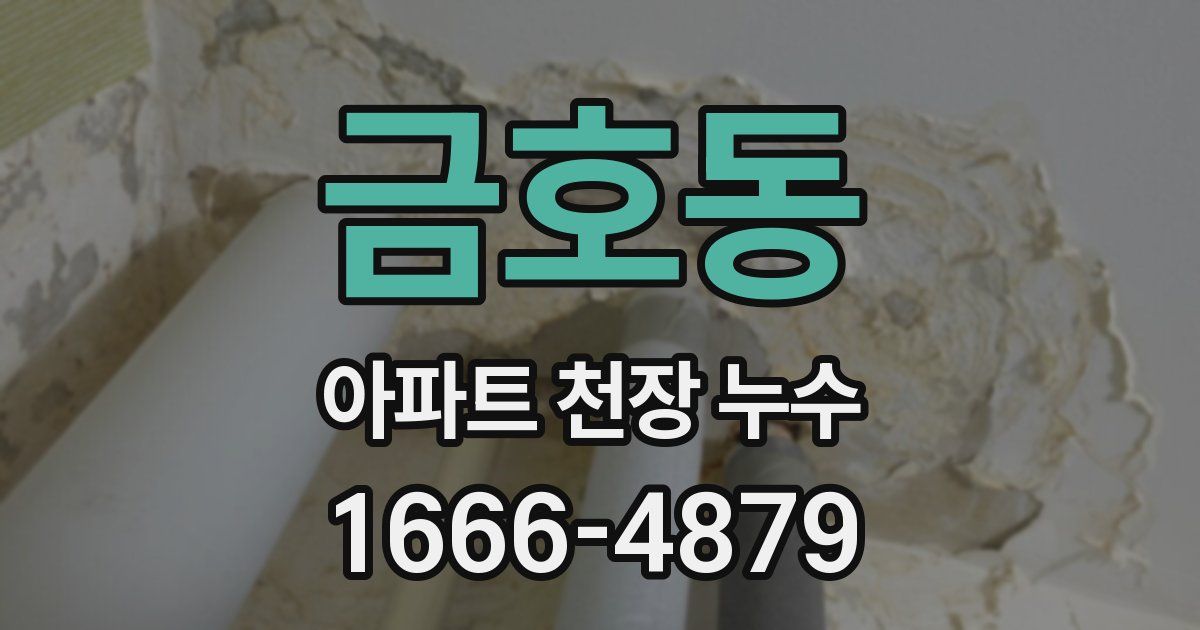금호동 아파트 천장 누수