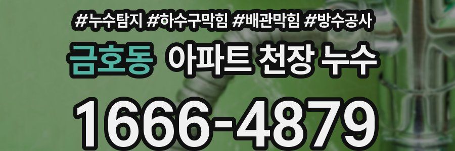 금호동 아파트 천장 누수