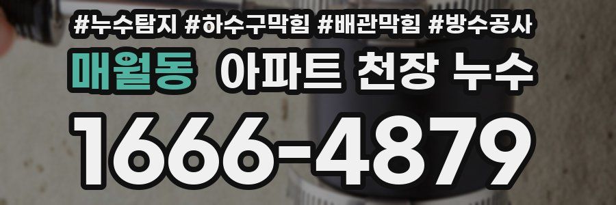 매월동 아파트 천장 누수