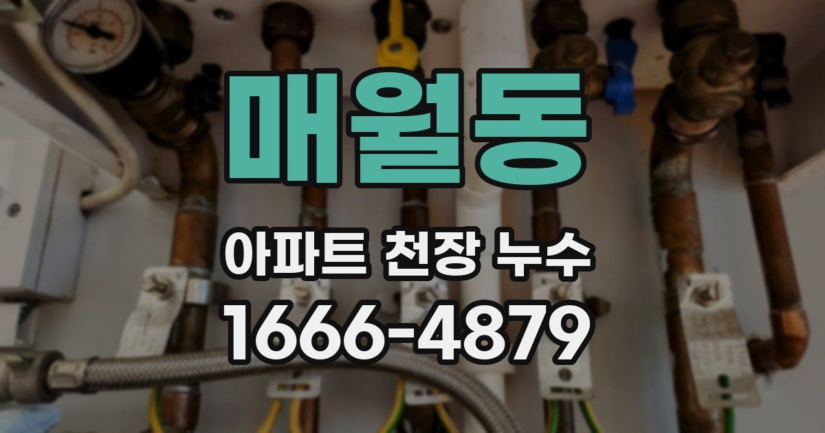 매월동 아파트 천장 누수