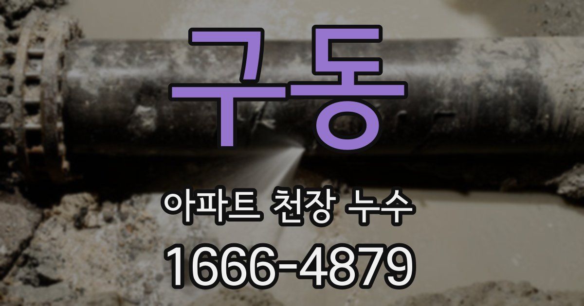 구동 아파트 천장 누수
