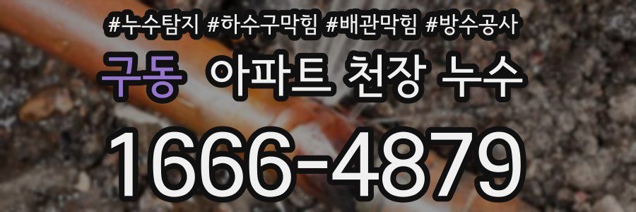 구동 아파트 천장 누수