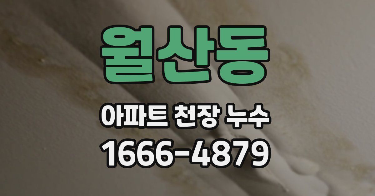 월산동 아파트 천장 누수