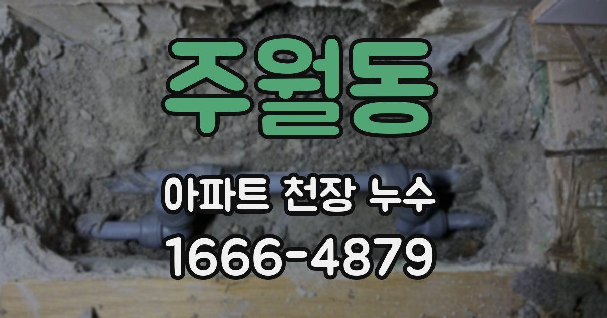 주월동 아파트 천장 누수