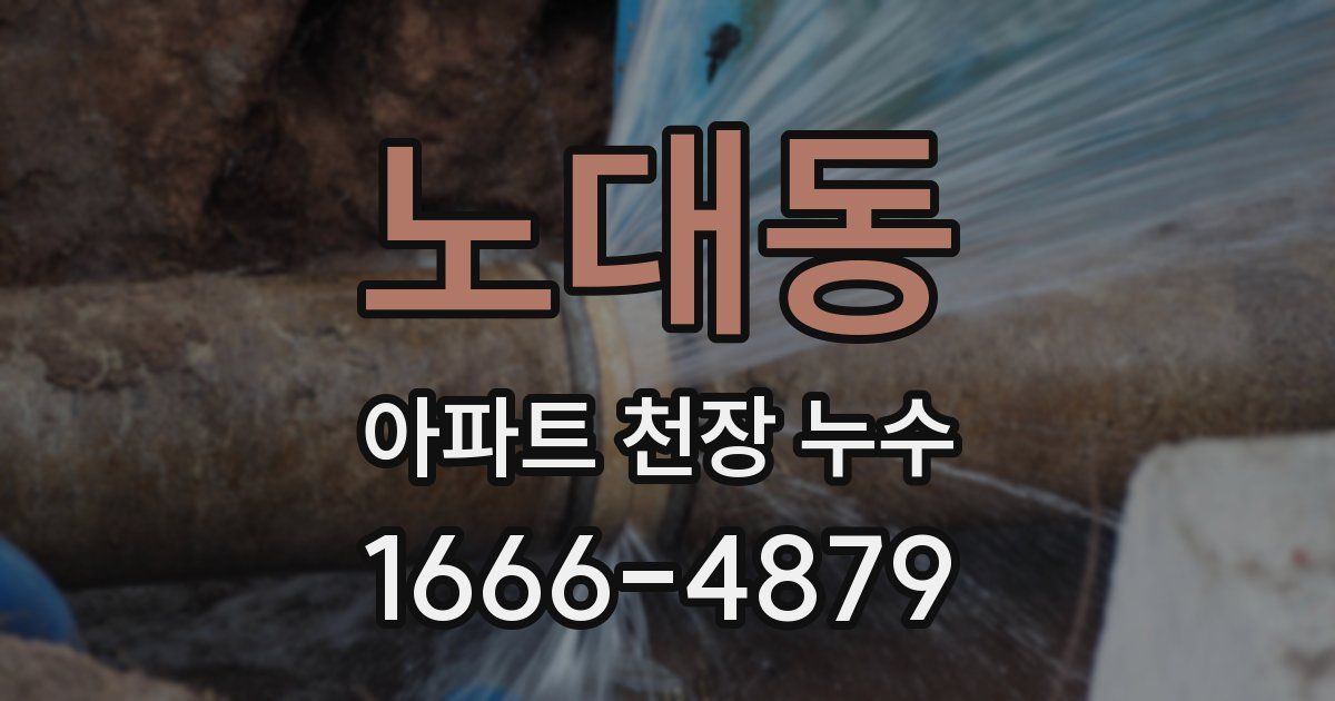 노대동 아파트 천장 누수