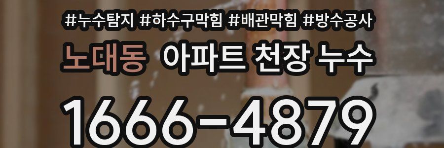 노대동 아파트 천장 누수