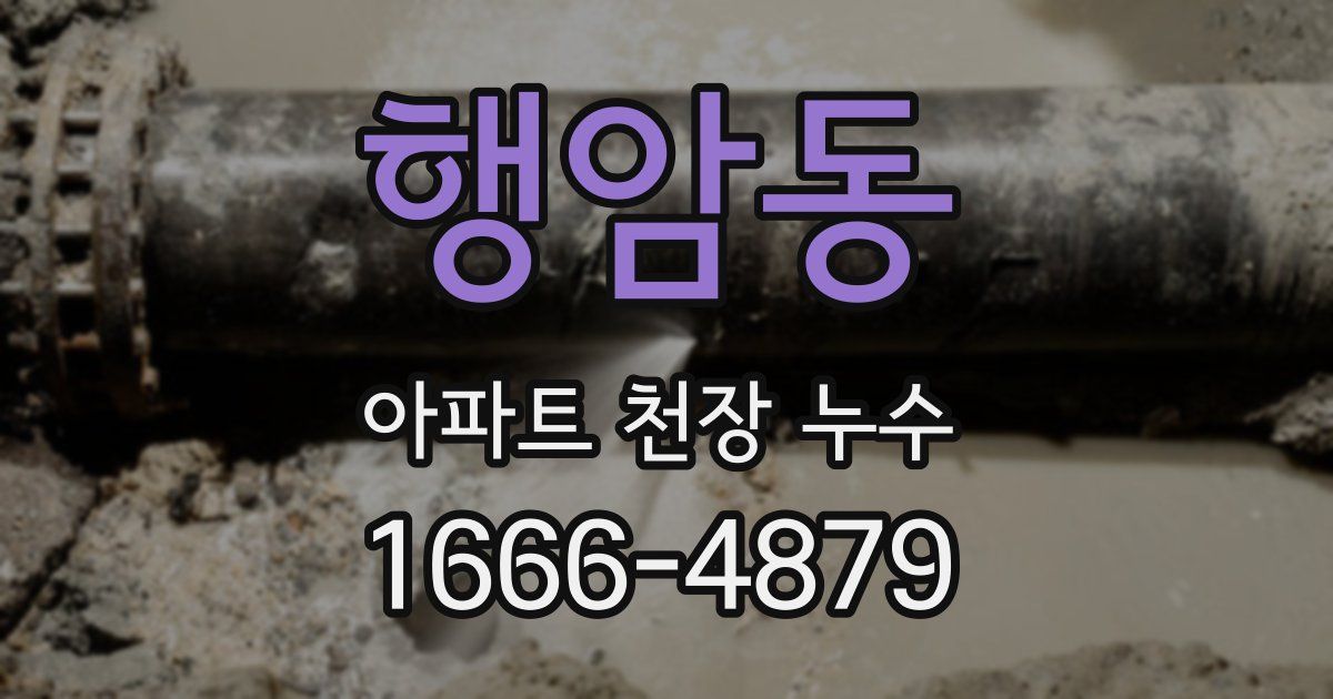 행암동 아파트 천장 누수