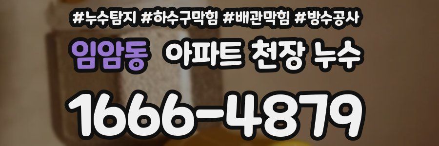 임암동 아파트 천장 누수