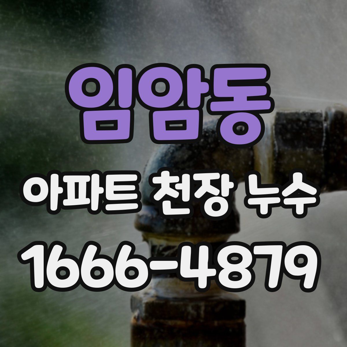 임암동 아파트 천장 누수