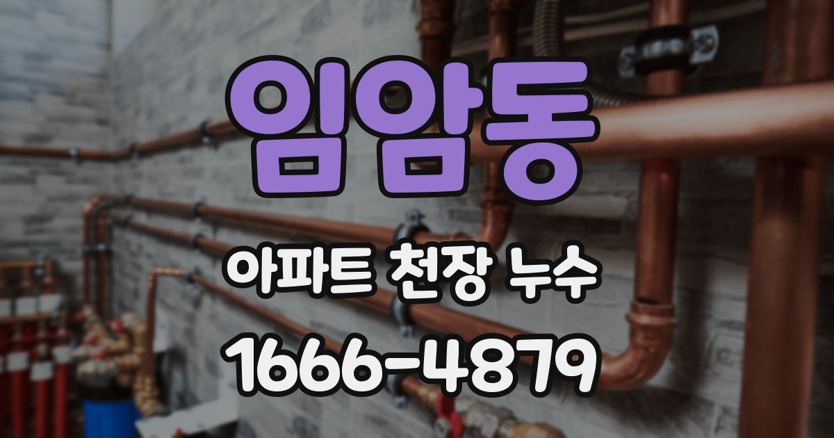 임암동 아파트 천장 누수