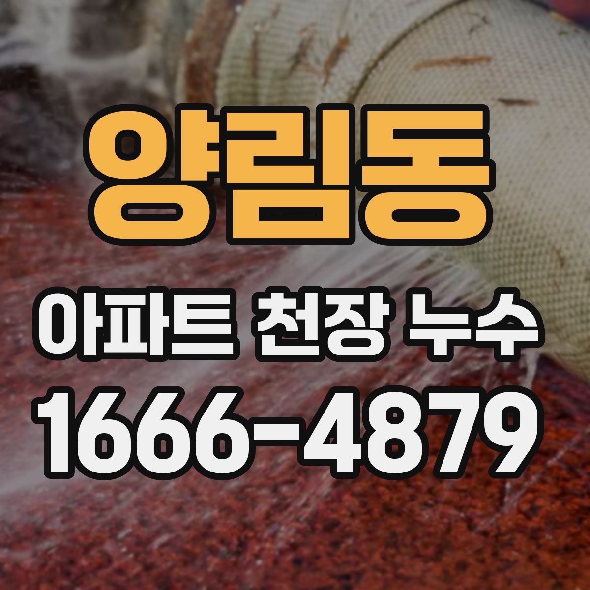 양림동 아파트 천장 누수