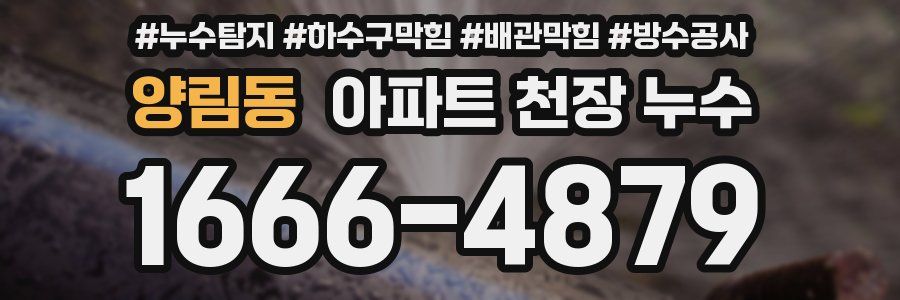 양림동 아파트 천장 누수