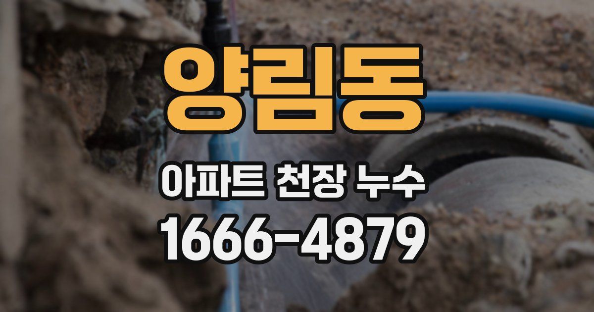 양림동 아파트 천장 누수