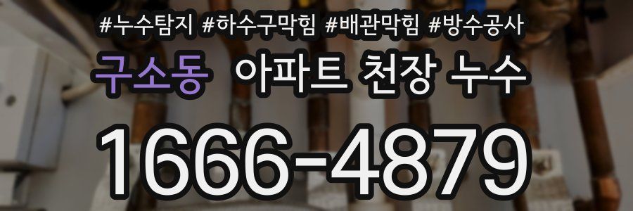 구소동 아파트 천장 누수