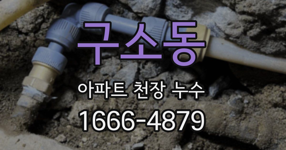구소동 아파트 천장 누수