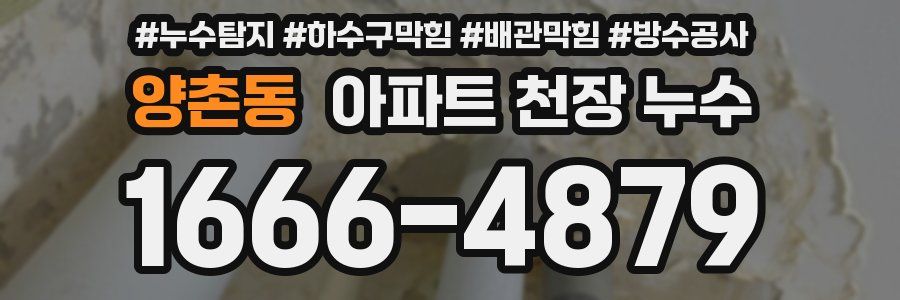 양촌동 아파트 천장 누수