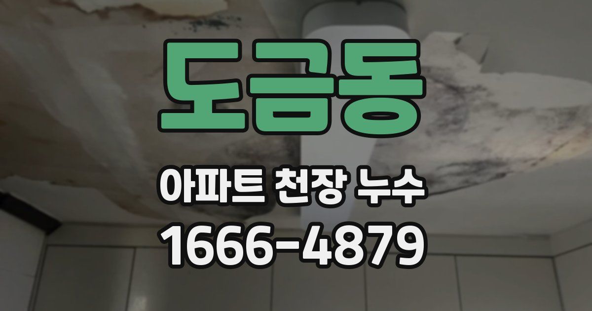 도금동 아파트 천장 누수