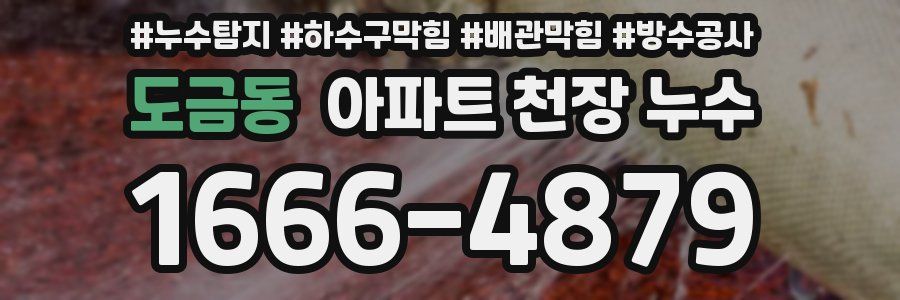 도금동 아파트 천장 누수