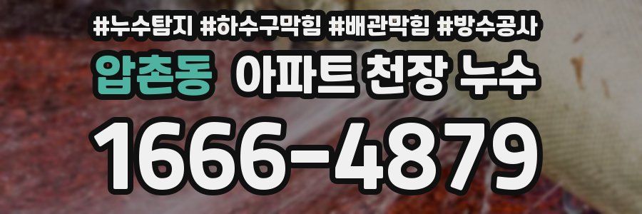 압촌동 아파트 천장 누수