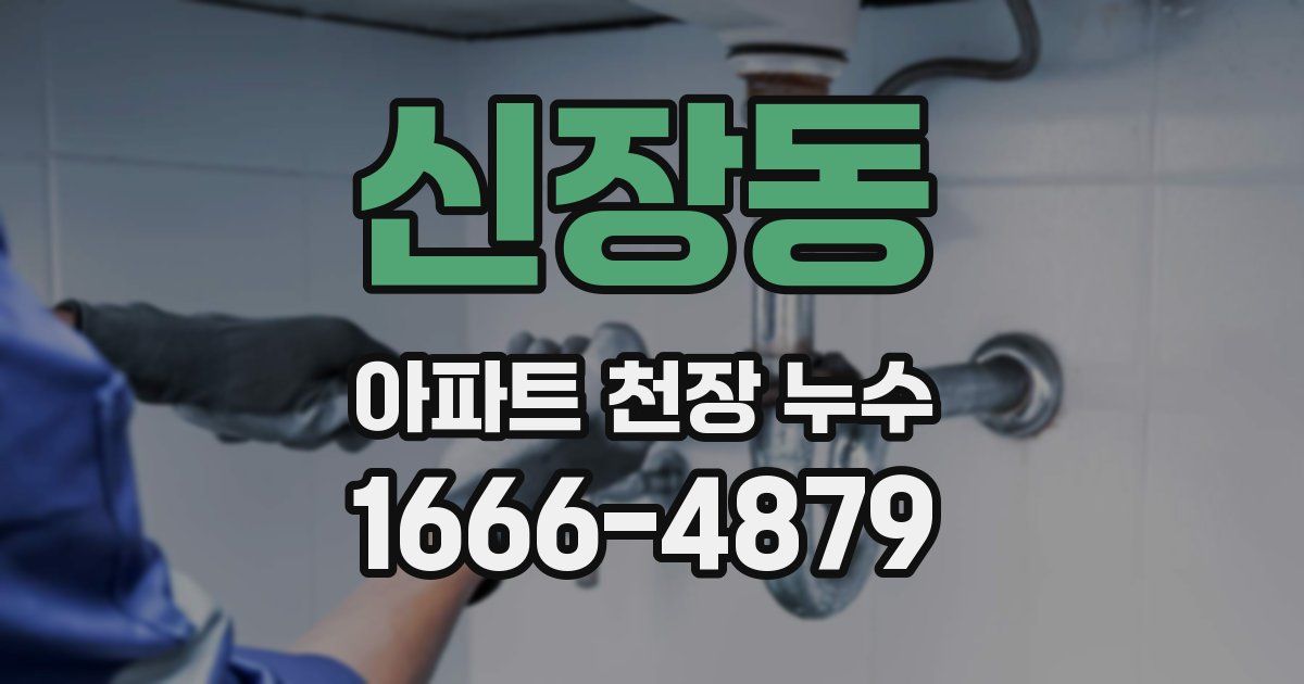 신장동 아파트 천장 누수