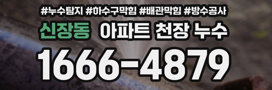 신장동 아파트 천장 누수